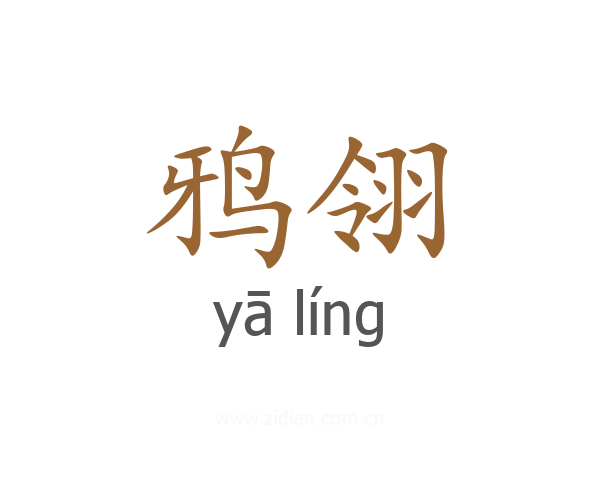 鸦翎