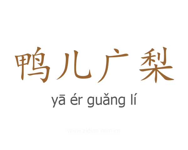 鸭儿广梨