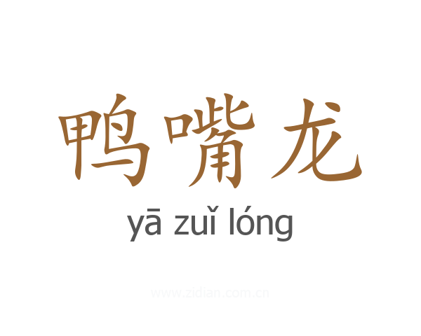 鸭嘴龙