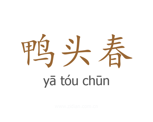 鸭头春