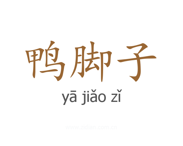 鸭脚子
