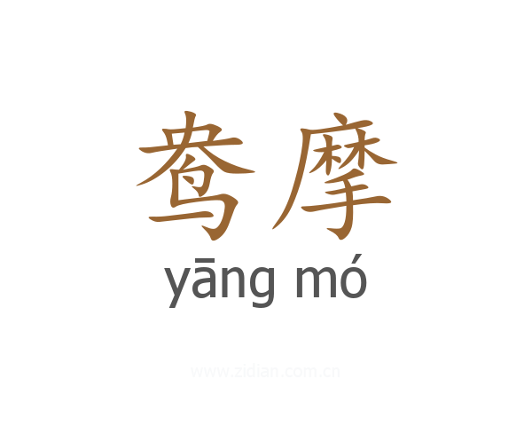 鸯摩