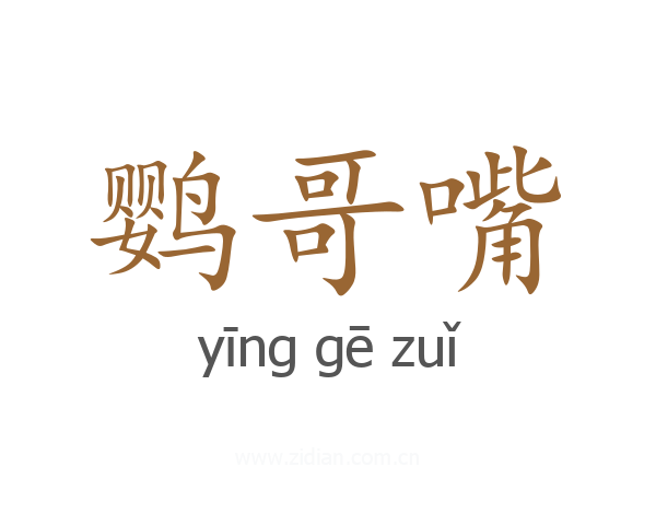 鹦哥嘴
