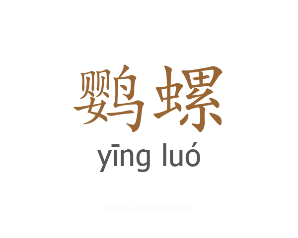 鹦螺