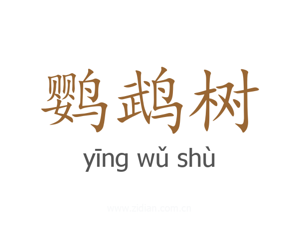 鹦鹉树