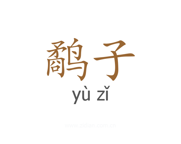 鹬子