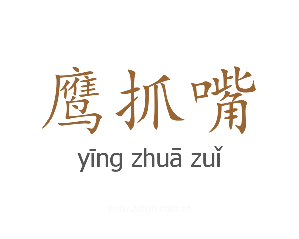 鹰抓嘴