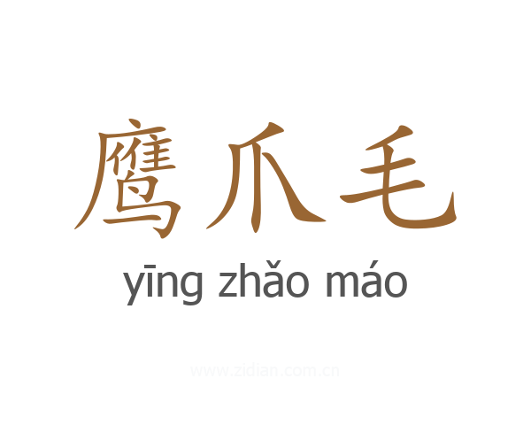 鹰爪毛