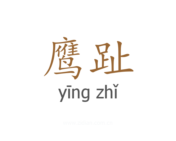 鹰趾