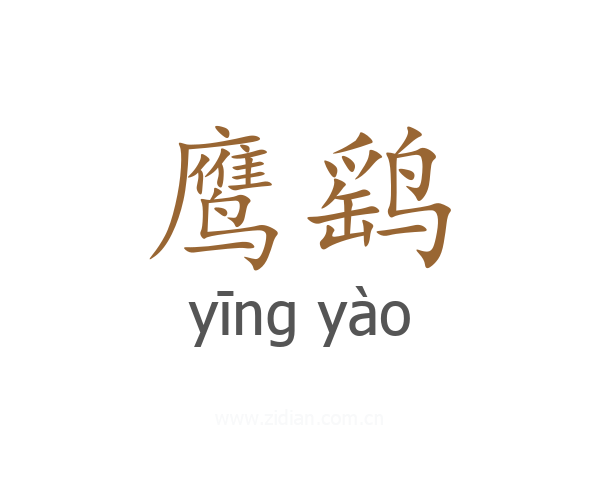 鹰鹞