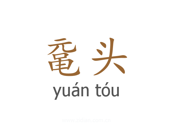 鼋头