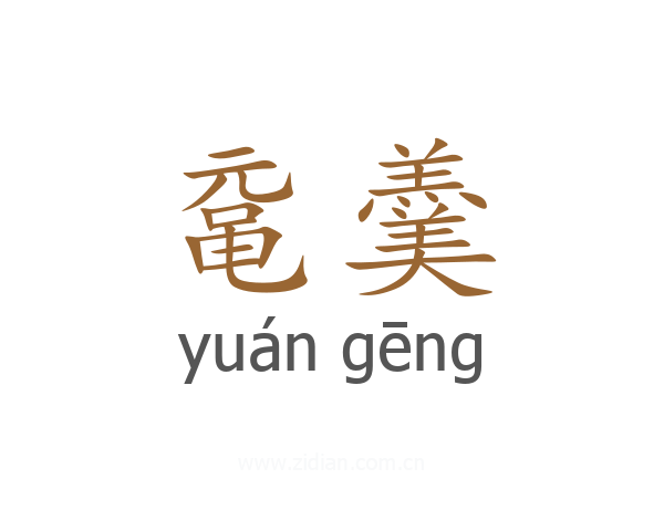 鼋羹