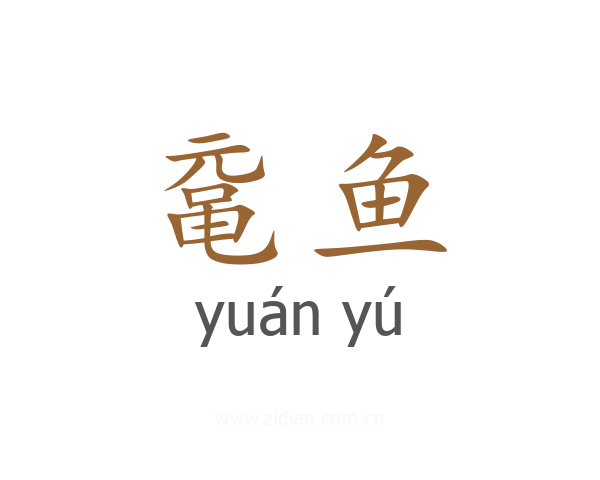 鼋鱼