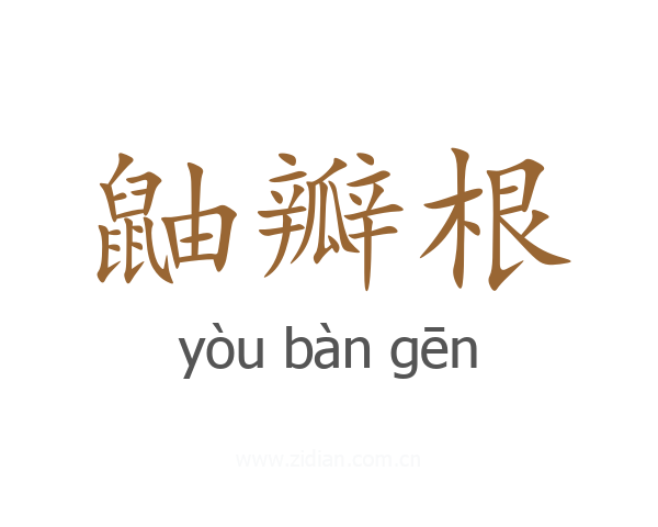 鼬瓣根
