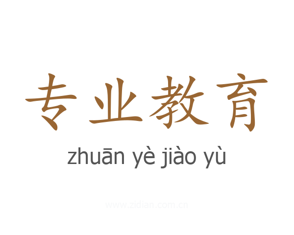 专业教育