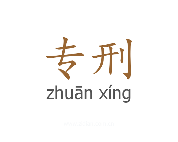 专刑