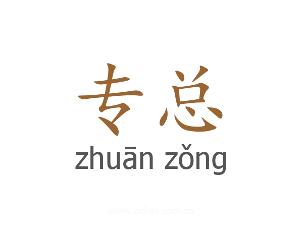 专总