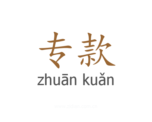专款