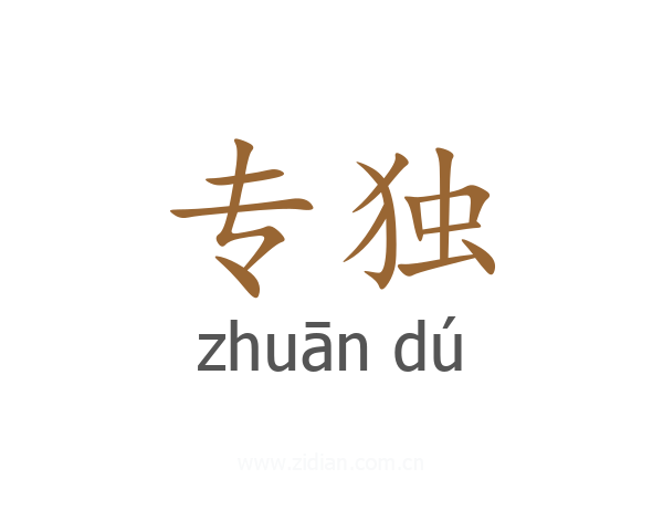 专独