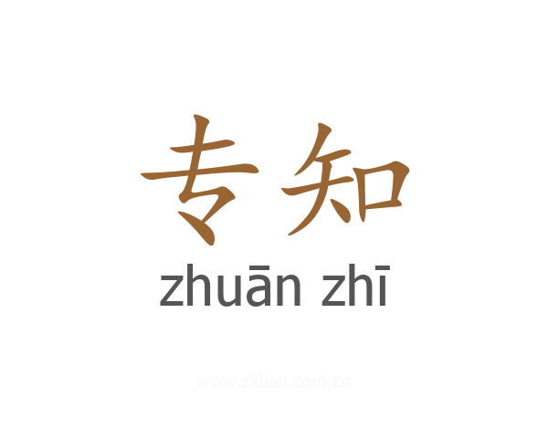 专知