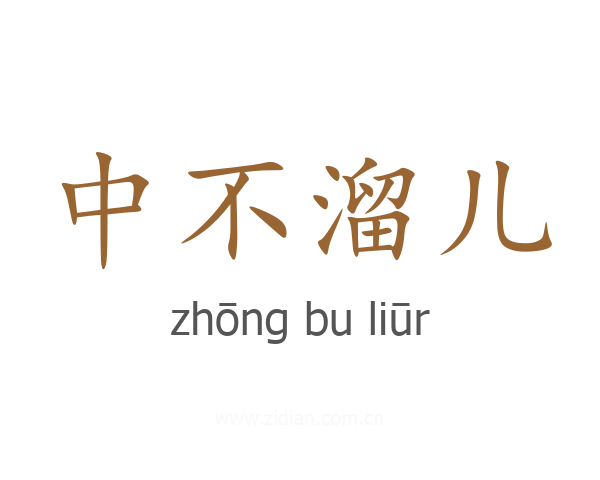 中不溜儿
