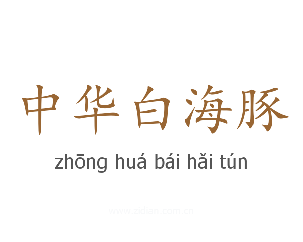 中华白海豚
