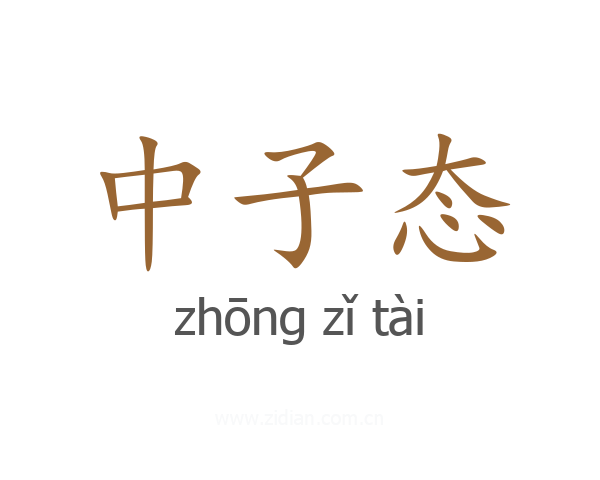 中子态