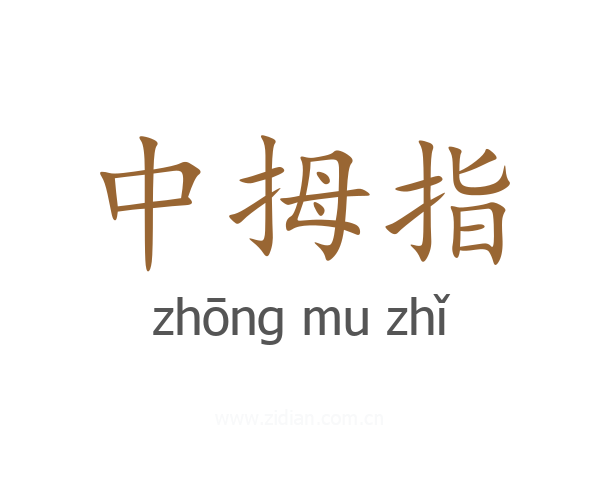 中拇指