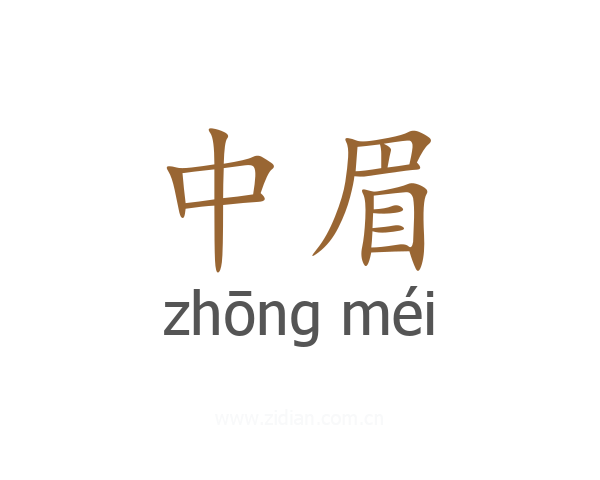 中眉