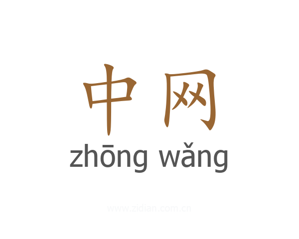 中网