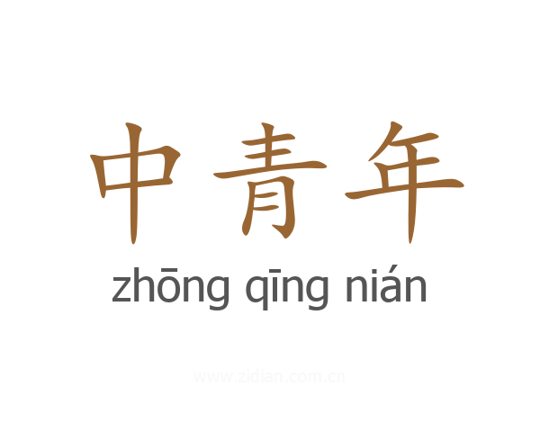 中青年