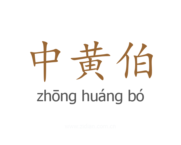 中黄伯