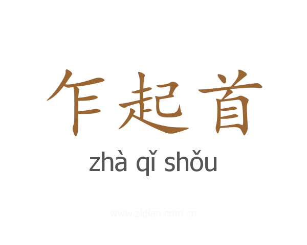 乍起首