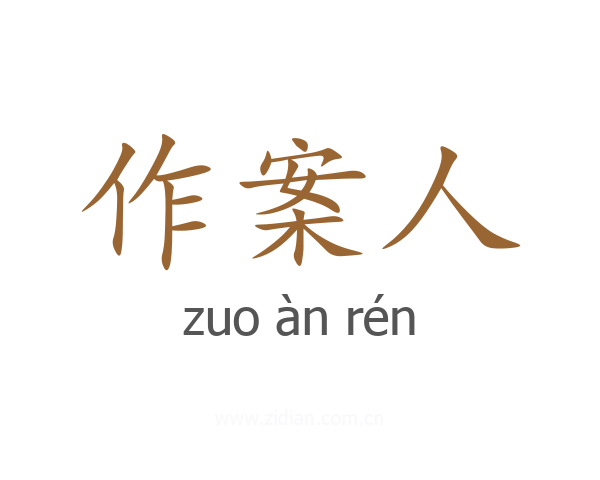 作案人