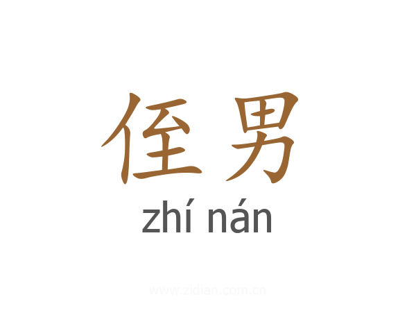 侄男