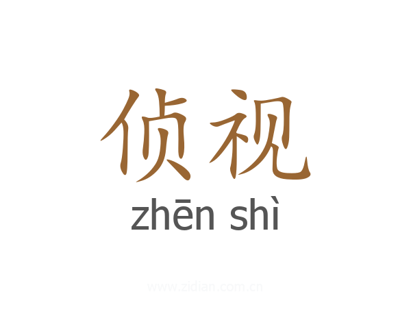 侦视