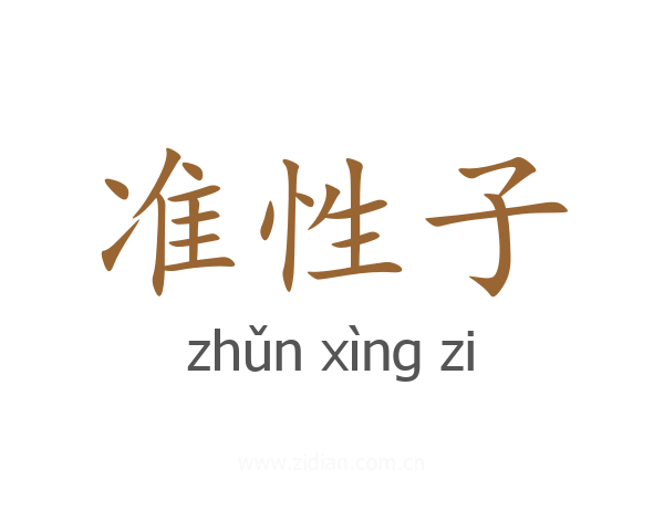 准性子
