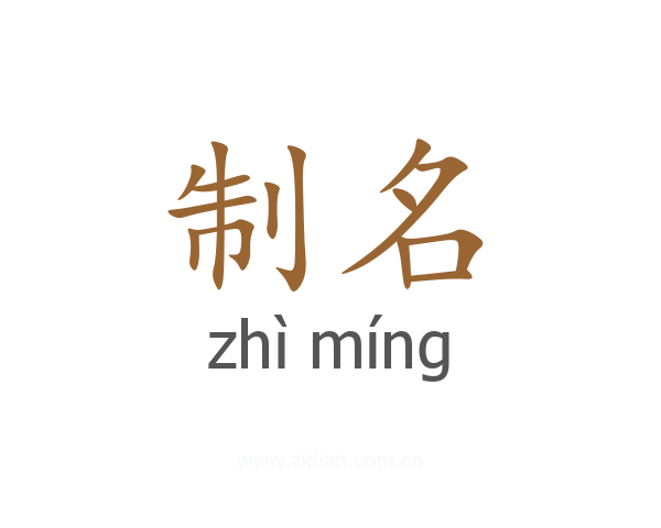 制名