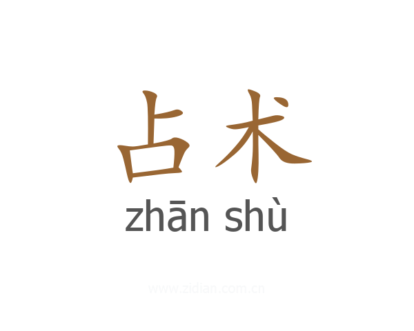 占术