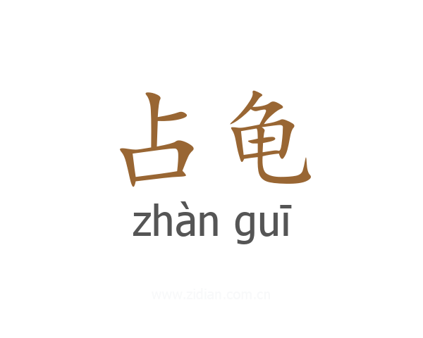 占龟