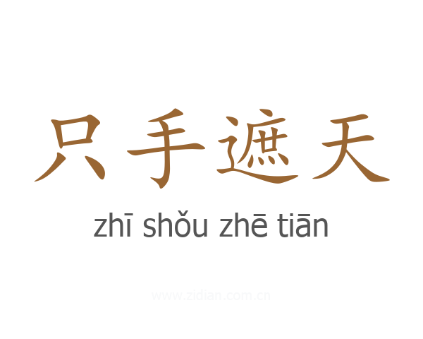 只手遮天
