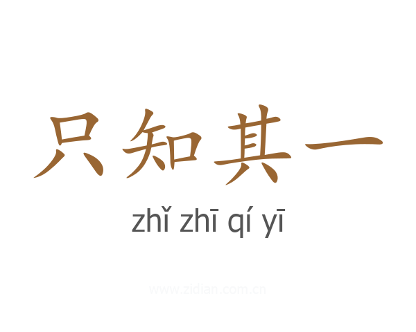 只知其一