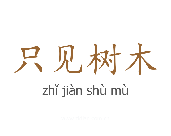 只见树木