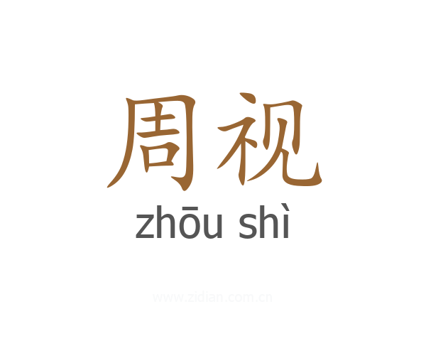 周视