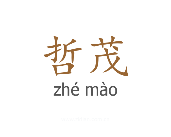 哲茂