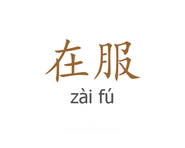 在服