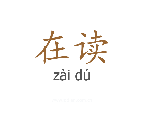 在读