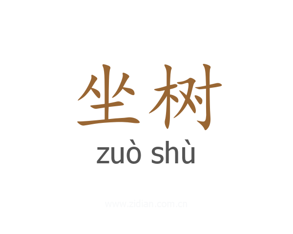 坐树