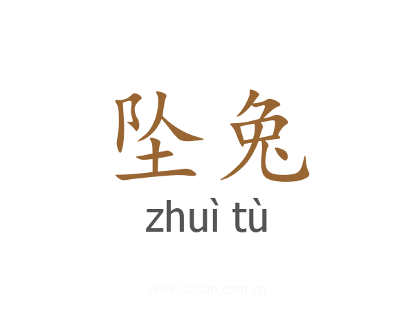 坠兔