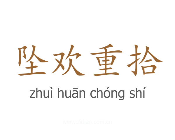 坠欢重拾